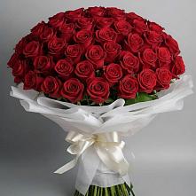 Букет 101 Красная роза Блэк Мэджик в поселке Медико-Инструментального завода