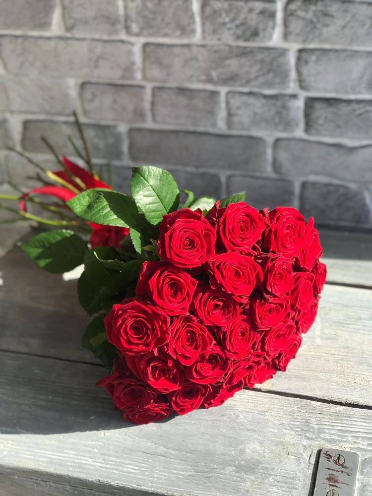 Букет Красные розы Фридом в поселке Медико-Инструментального завода