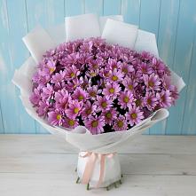 Букет цветов из:  Хризантемы в поселке Медико-Инструментального завода