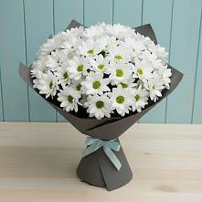 Букет цветов из:  Хризантемы в поселке Медико-Инструментального завода