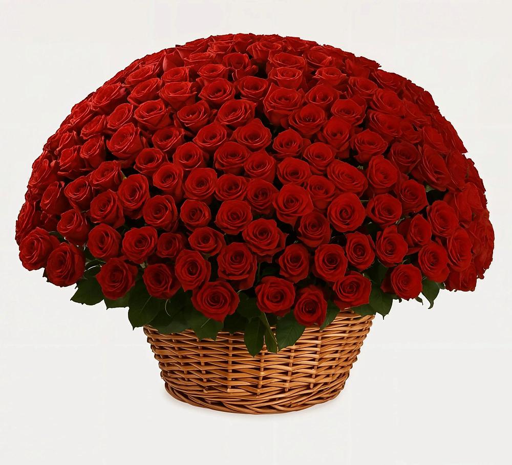 Премиум букет из: Розы в поселке Медико-Инструментального завода