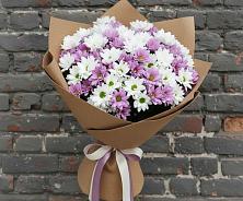 Букет цветов из:  Хризантемы #REPLACE_PRED# поселке Медико-Инструментального завода