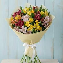 Букет цветов из:  Альстромерии в поселке Медико-Инструментального завода
