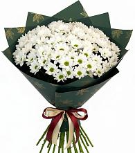 Букет цветов из:  Хризантемы в поселке Медико-Инструментального завода