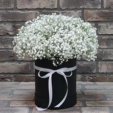Цветочная композиция из Гипсофила в шляпной коробке в поселке Медико-Инструментального завода
