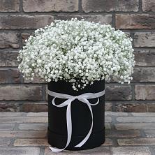 Цветочная композиция из Гипсофила в шляпной коробке в поселке Медико-Инструментального завода